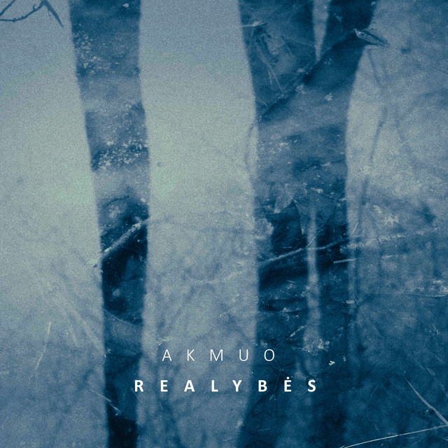 Album cover for Realybės by Akmuo