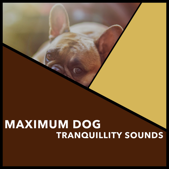 Maximum Dog Tranquillity Sounds - Album by Reiki Dogs | Spotify
