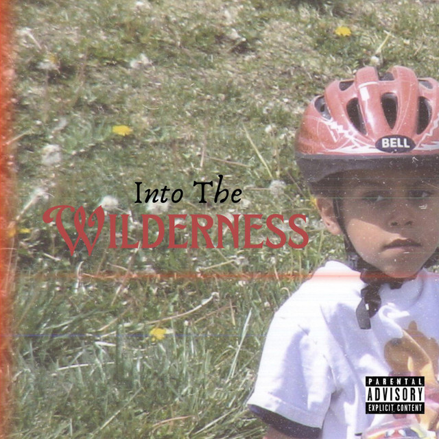 Into the Wilderness