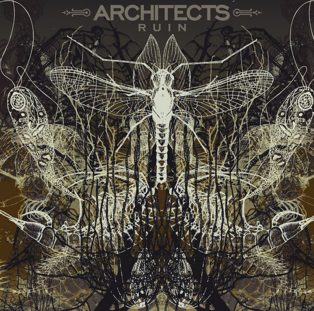 Ruin/Architects アルバム Ruin - Album by Architects | Spotify