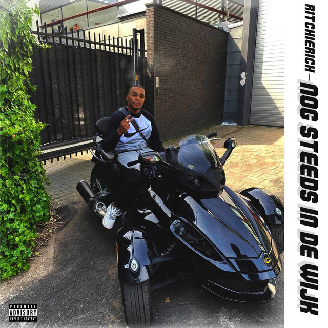 Nog Steeds in De Wijk cover art
