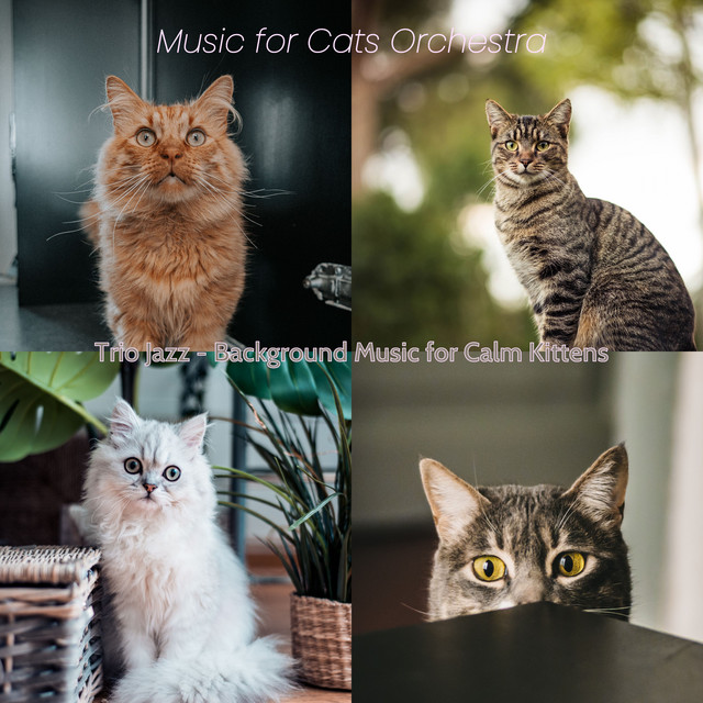 Trio Jazz - Background Music for Calm Kittens - Album by Music for Cats ...