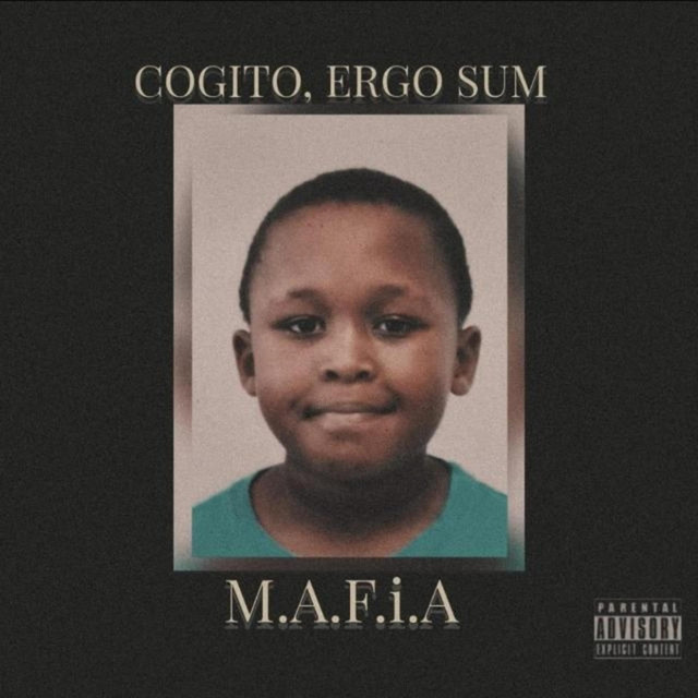Cogito Ergo Sum cover art