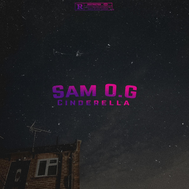 Cinderella - Single by Sam O.G | Spotify