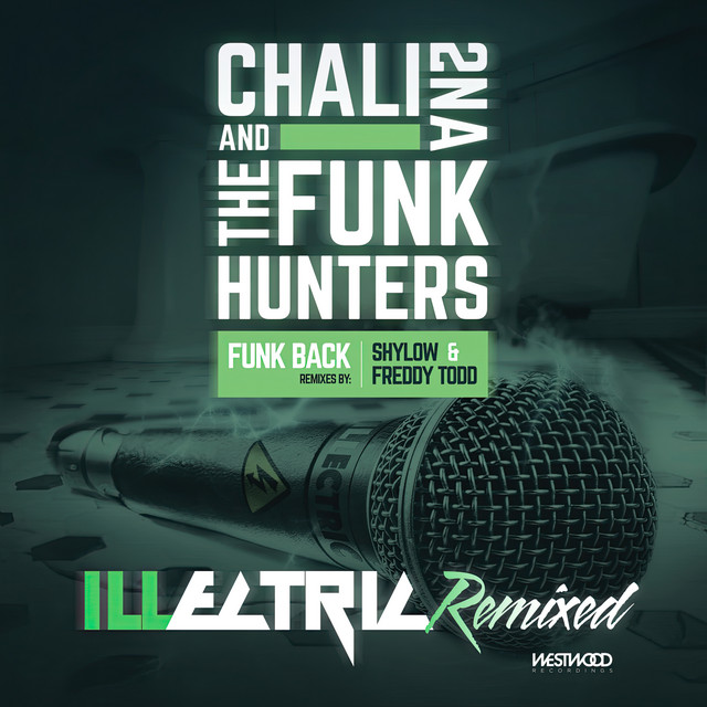 Funk Back (Shylow Remix)