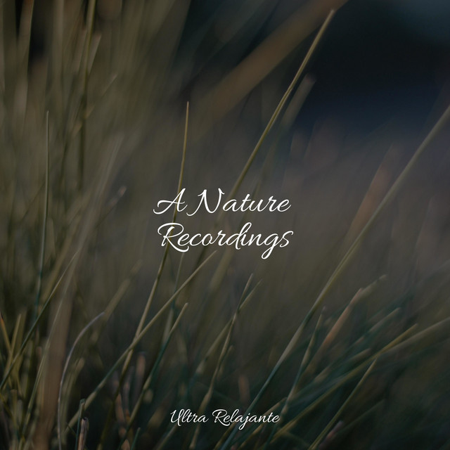 A Nature Recordings cover art