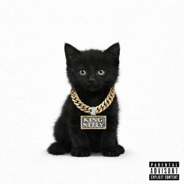 Kitten