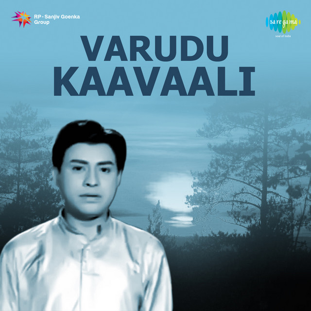 Varudu Kaavaali cover art