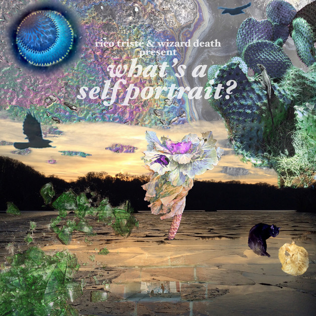 What's a Self Portrait? cover art