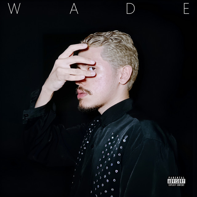 Wade cover art