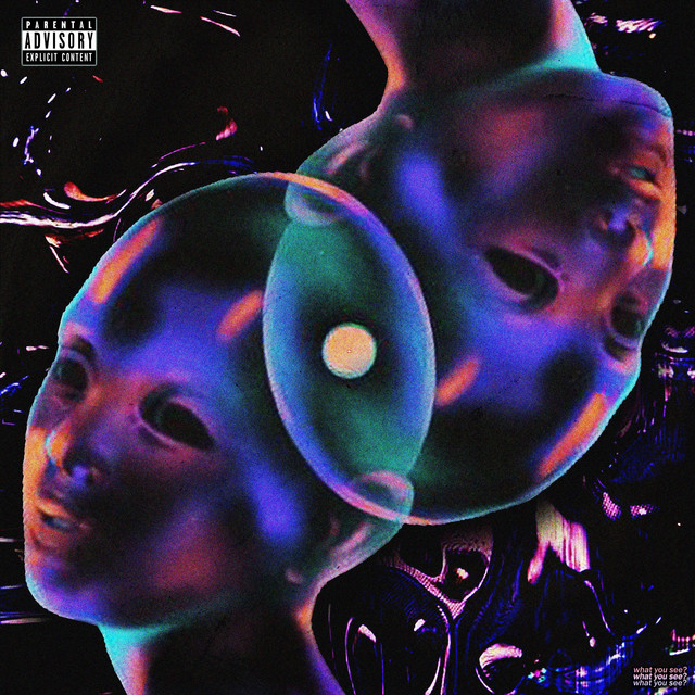 what you see cover