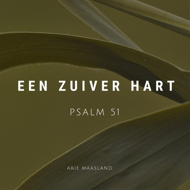 Een zuiver hart album image