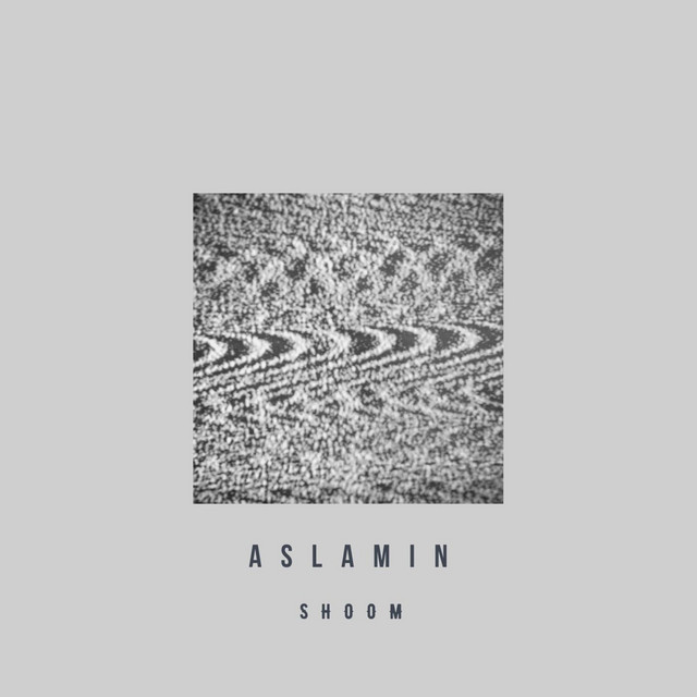 Shoom cover
