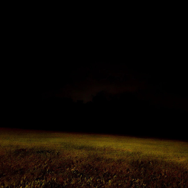 Then Everything Went Mute and Dark