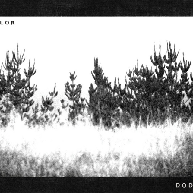 No Color cover art