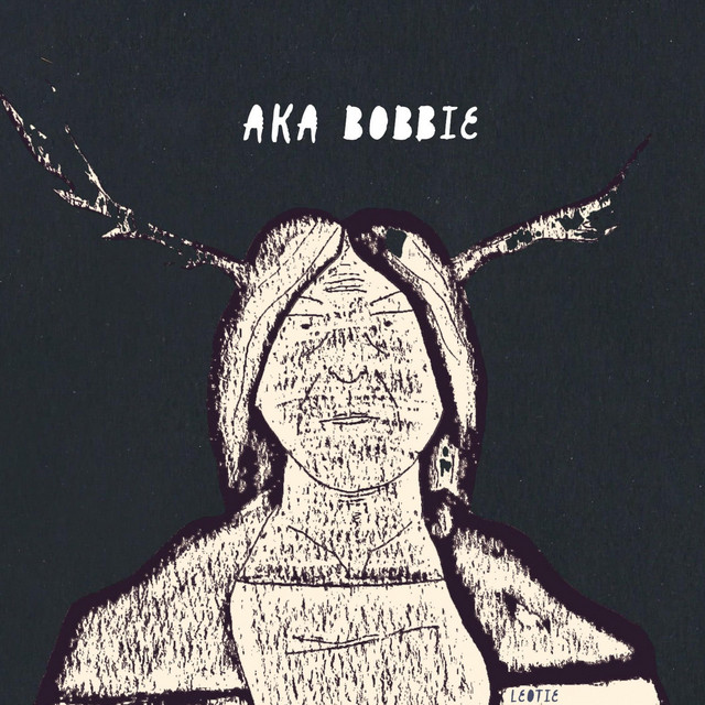Aka Bobbie cover