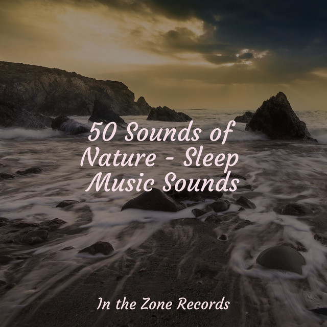 50 Sounds of Nature - Sleep Music Sounds - Album by Musica Reiki | Spotify