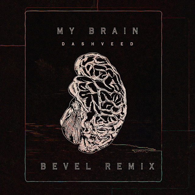 My Brain