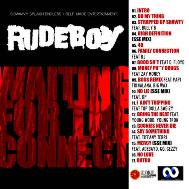 Waiting For The Connect cover