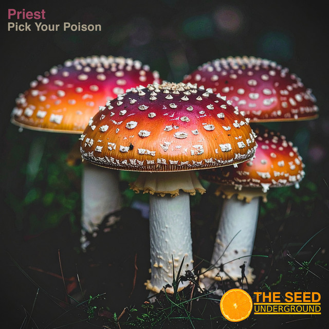 Pick your Poison album art