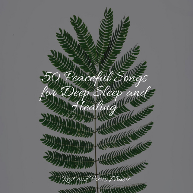 50 Peaceful Songs for Deep Sleep and Healing - Album by Spa Music ...
