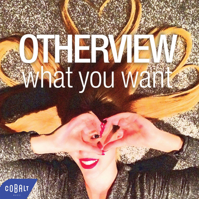 What You Want (Radio Edit) cover