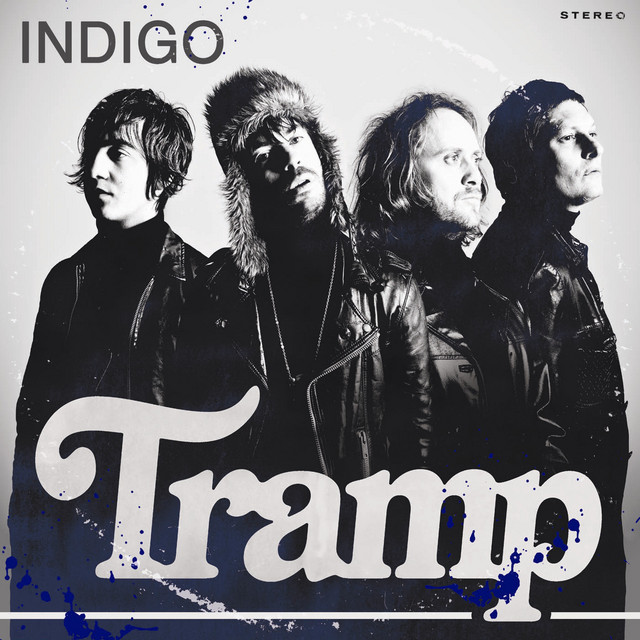 Indigo cover art