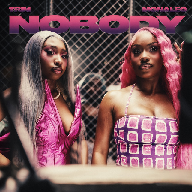 Nobody (feat. Monaleo) - Remix