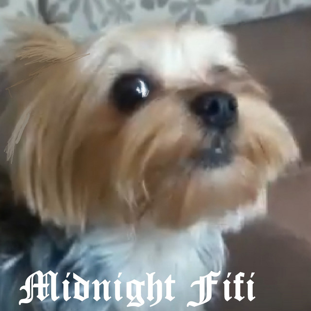 Midnight Fifi cover art