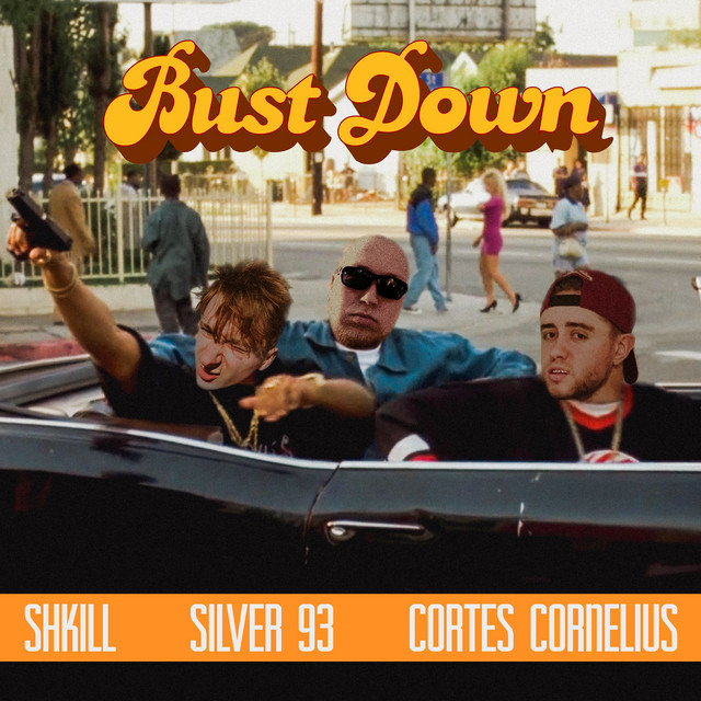 Обкладинка: BUST DOWN — Shkill