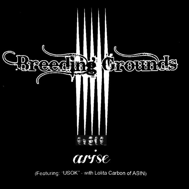 Arise cover