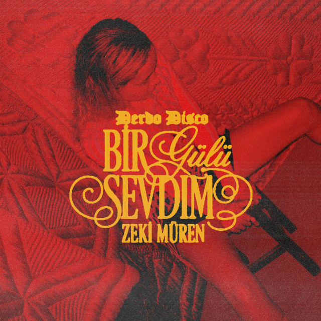 Bir Gülü Sevdim (Remix) album image