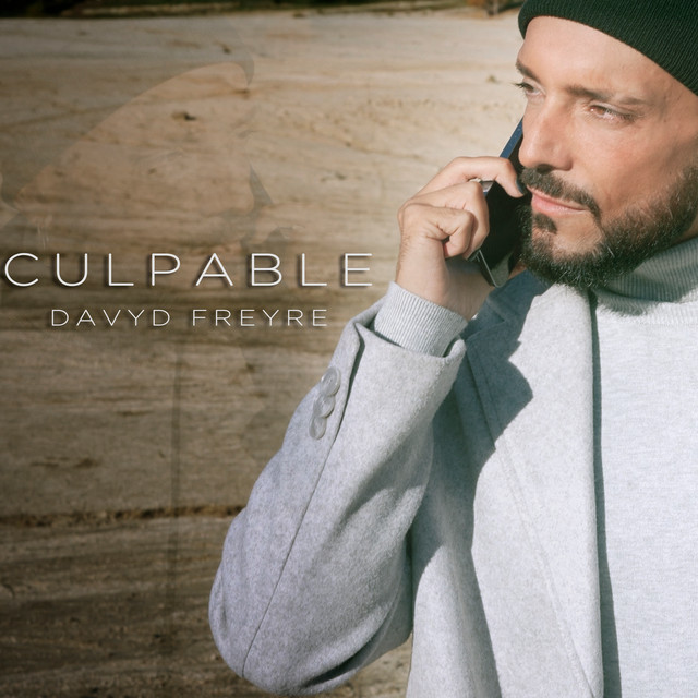 Culpable cover art