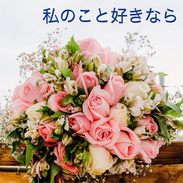 ✰࿐⋆* *+:•*∴:♡ PAオレンジ
