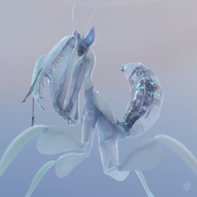 Prayer - Extended Mix album art