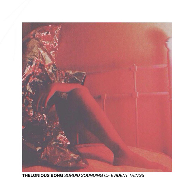 Sordid Sounding Of Evident Things cover art