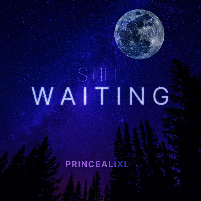 Still Waiting - Single by PrinceAliXL | Spotify