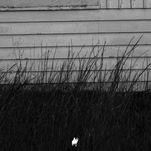Cult Leader cover art