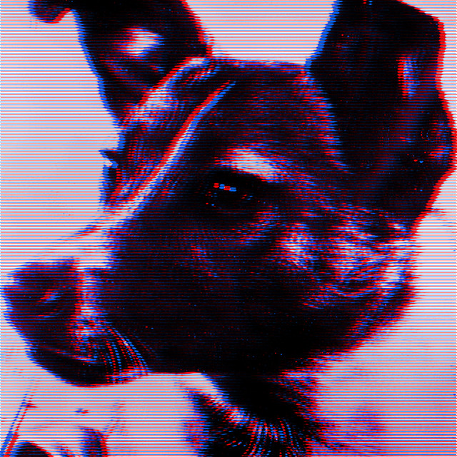 Laika cover art