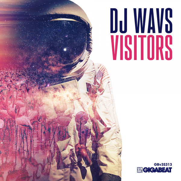 Visitors album art