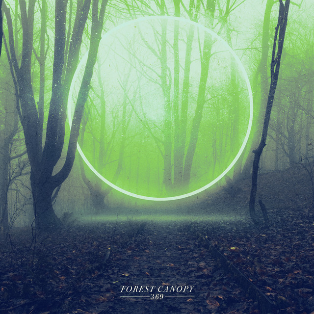 Forest Canopy cover art