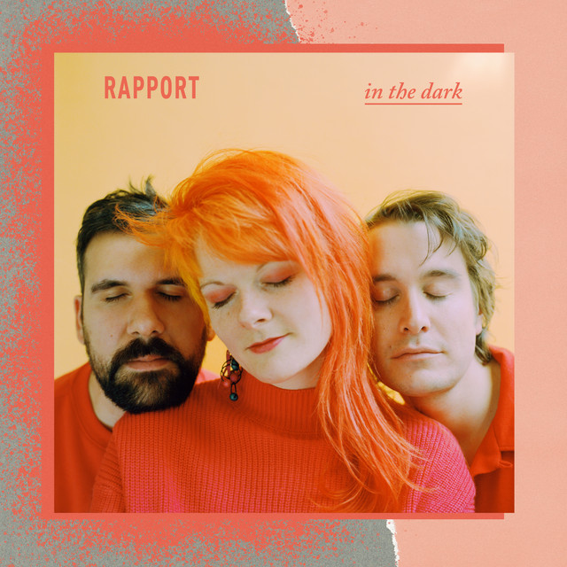 In The Dark cover