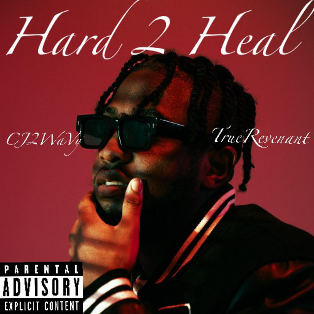 Hard 2 Heal (Remix)