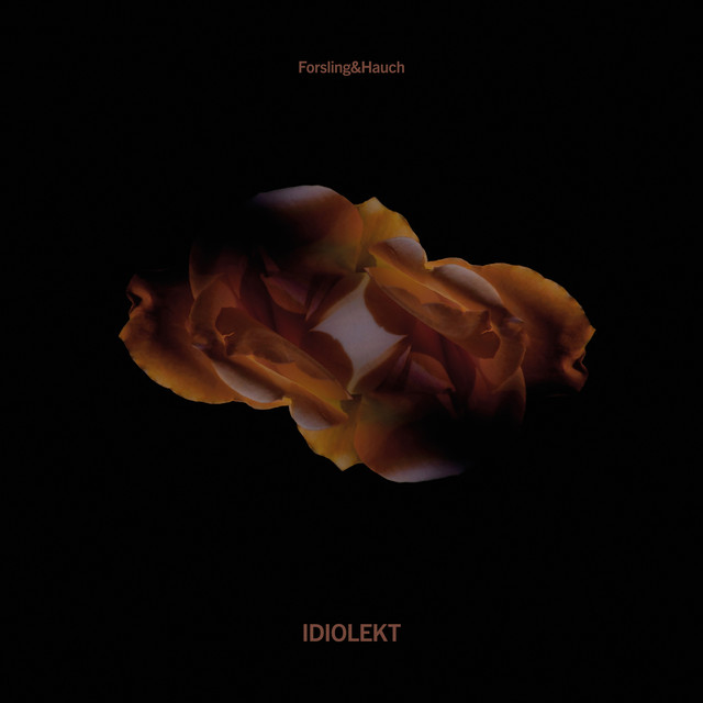 Idiolekt cover art