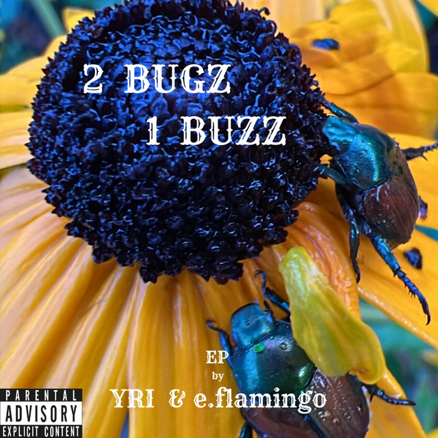 2 BUGZ 1 BUZZ cover art