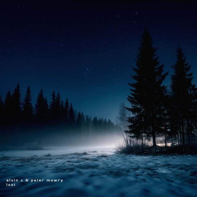 lost cover art