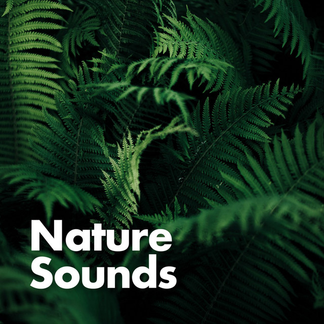 Nature Sounds cover art