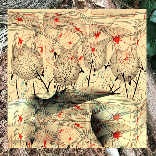 Io Ioo cover art