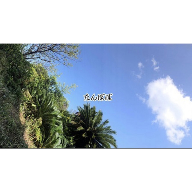 たんぽぽ cover