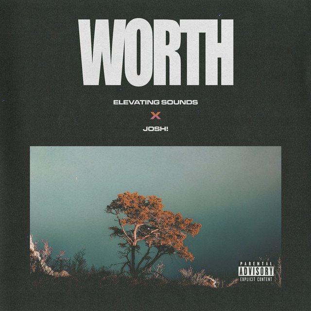 Worth cover art